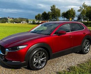 Mazda CX-30 Gebrauchtwagen