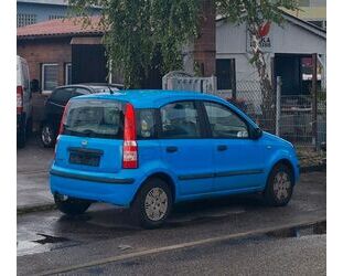 Fiat Panda Gebrauchtwagen