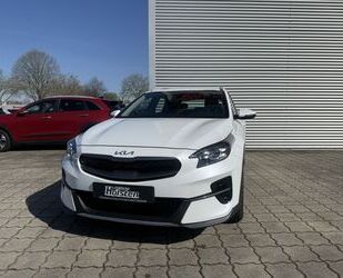Kia XCeed Gebrauchtwagen