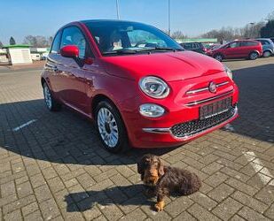 Fiat 500 Gebrauchtwagen