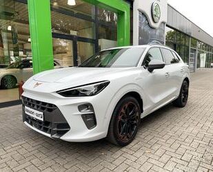 Cupra Terramar Gebrauchtwagen