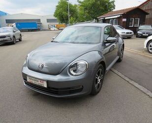 VW Beetle Gebrauchtwagen