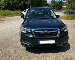 Subaru Forester Gebrauchtwagen