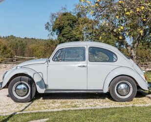 VW Beetle Gebrauchtwagen
