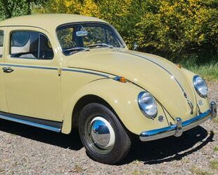 VW Käfer Gebrauchtwagen
