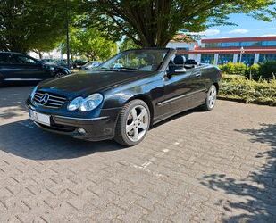 Mercedes-Benz CLK 500 Gebrauchtwagen