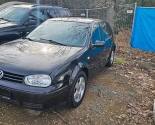 VW Golf Gebrauchtwagen