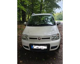 Fiat Panda Gebrauchtwagen