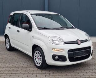 Fiat New Panda Gebrauchtwagen