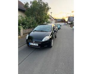 Fiat Punto Gebrauchtwagen