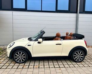 Mini Cooper Cabrio Gebrauchtwagen