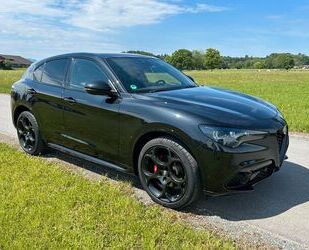 Alfa Romeo Stelvio Gebrauchtwagen