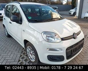 Fiat New Panda Gebrauchtwagen