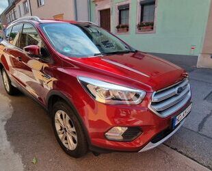 Ford Kuga Gebrauchtwagen