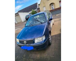VW Polo Gebrauchtwagen