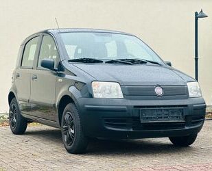 Fiat Panda Gebrauchtwagen