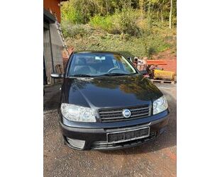Fiat Punto Gebrauchtwagen