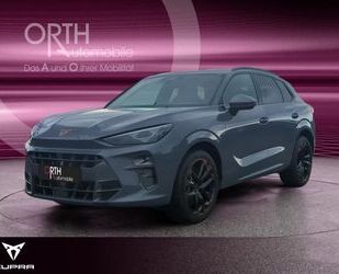 Cupra Terramar Gebrauchtwagen