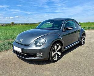 VW Beetle Gebrauchtwagen