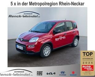 Fiat New Panda Gebrauchtwagen