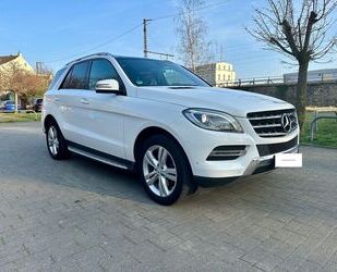 Mercedes-Benz ML 350 Gebrauchtwagen