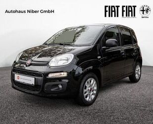 Fiat Panda Gebrauchtwagen