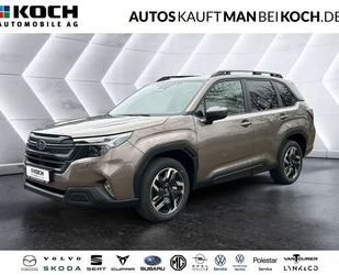 Subaru Forester Gebrauchtwagen