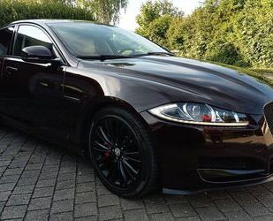Jaguar XF Gebrauchtwagen