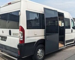 Fiat Ducato Gebrauchtwagen