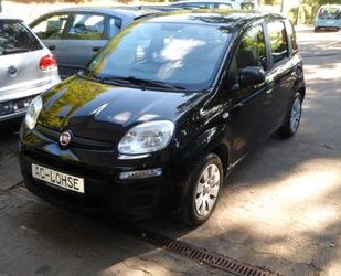 Fiat Panda Gebrauchtwagen