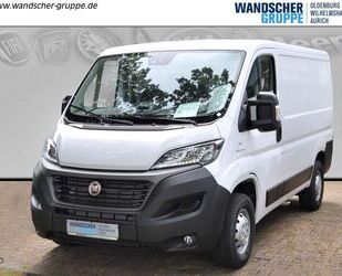 Fiat Ducato Gebrauchtwagen