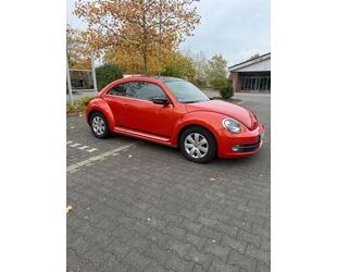 VW Beetle Gebrauchtwagen