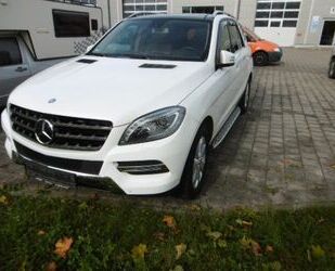 Mercedes-Benz ML 350 Gebrauchtwagen