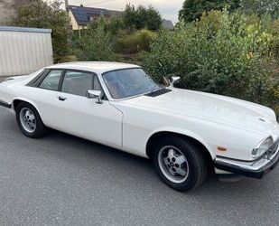 Jaguar XJS Gebrauchtwagen