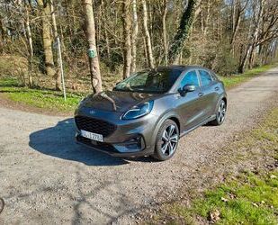 Ford Puma Gebrauchtwagen