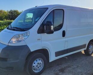 Fiat Ducato Gebrauchtwagen