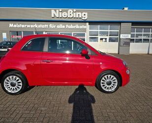 Fiat 500 Gebrauchtwagen