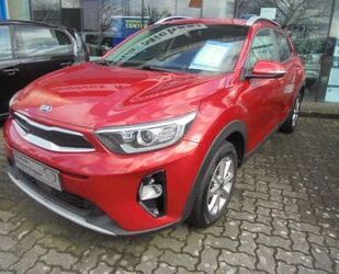 Kia Stonic Gebrauchtwagen