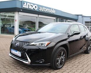 Lexus UX Gebrauchtwagen