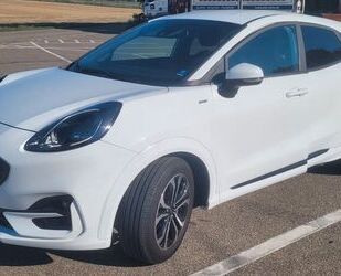 Ford Puma Gebrauchtwagen