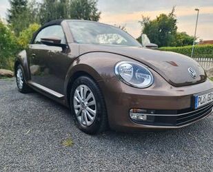 VW Beetle Gebrauchtwagen