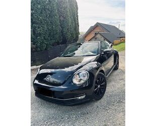 VW Beetle Gebrauchtwagen