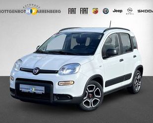 Fiat Panda Gebrauchtwagen