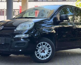Fiat Panda Gebrauchtwagen