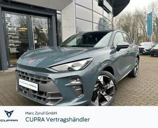 Cupra Terramar Gebrauchtwagen