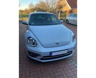 VW Beetle Gebrauchtwagen