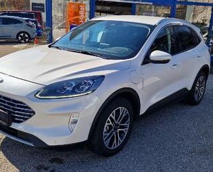 Ford Kuga Gebrauchtwagen