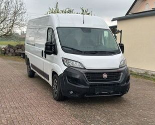 Fiat Ducato Gebrauchtwagen
