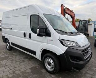 Fiat Ducato Gebrauchtwagen