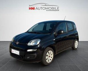 Fiat Panda Gebrauchtwagen